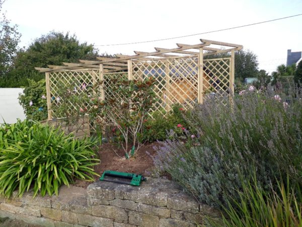Pergolas – Image 2
